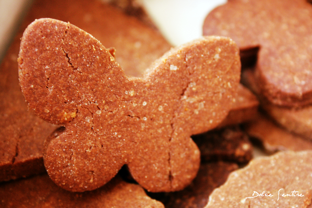 Conservación y almacenamiento de galletas: ¿Cómo mantenerlas siempre frescas?